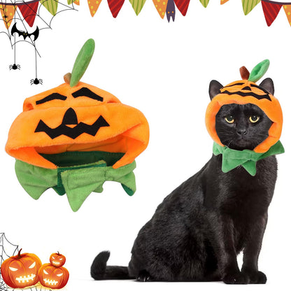 Pumpkin Jack-o-Lantern Hat for Cats